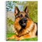 BrownTrout; German Shepherds | 2027 6 x 7.75 Inch Spiral-Bound Wire-O Weekly Engagement Planner Calendar | New Full-Color Image Every Week; Category:Planners; Image:2